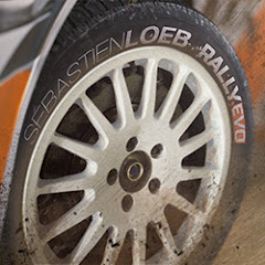 Sébastien Loeb Rally EVO Avatar
