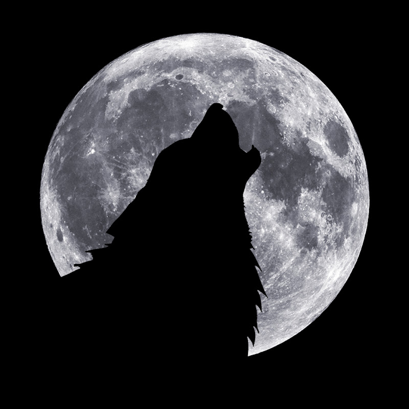 WolfbaneTV logo