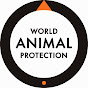 World Animal Protection NZ logo