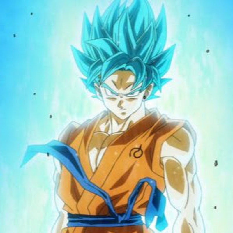 EL CAPITANO goku