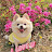 @권춘화-z8g