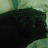 @jesses9899's avatar