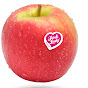 Pink Lady Apples UAE logo