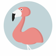 Dr Flamingo Avatar