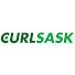 GeRIM-DT7Ig-channel-avatar-CURLSASK