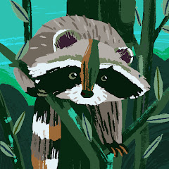 Raccoon Streams