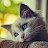 @ijnar5