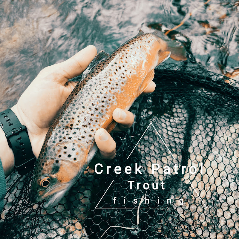 Creek Patrol