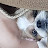 @user-gd8dz1vp2w