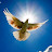 @dwaynewilliams6334's avatar