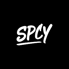 SpicyIce net worth