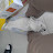 @galtube3929