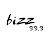 Bizz 99.9 FM Substitute Radio