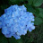 @bluelady9016