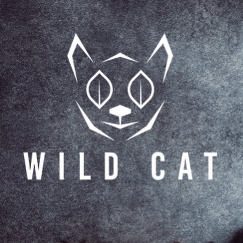 Wild Cat