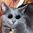 za8UJ2ZsMpQ-channel-avatar-coolcat001100