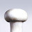 @DoNotCutTheMushrooms Avatar