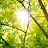 @행복감사-s3c