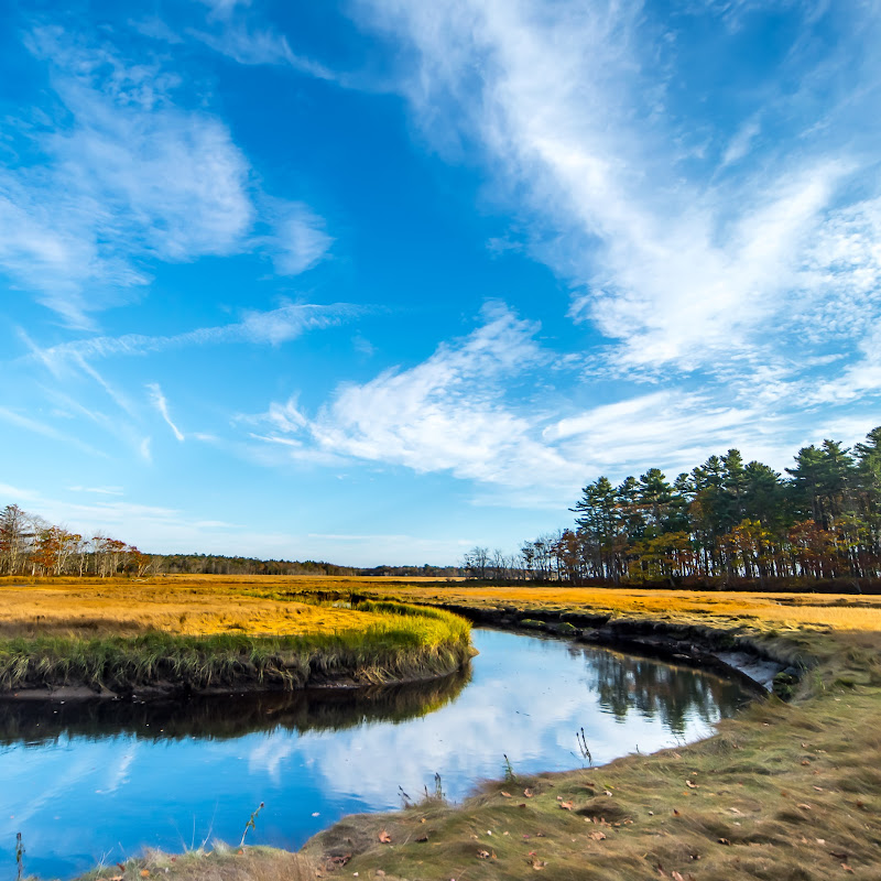 Naturally Peaceful Video