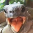 アイコン