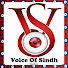 uhieBBFVgKU-channel-avatar-Voice of Sindh News