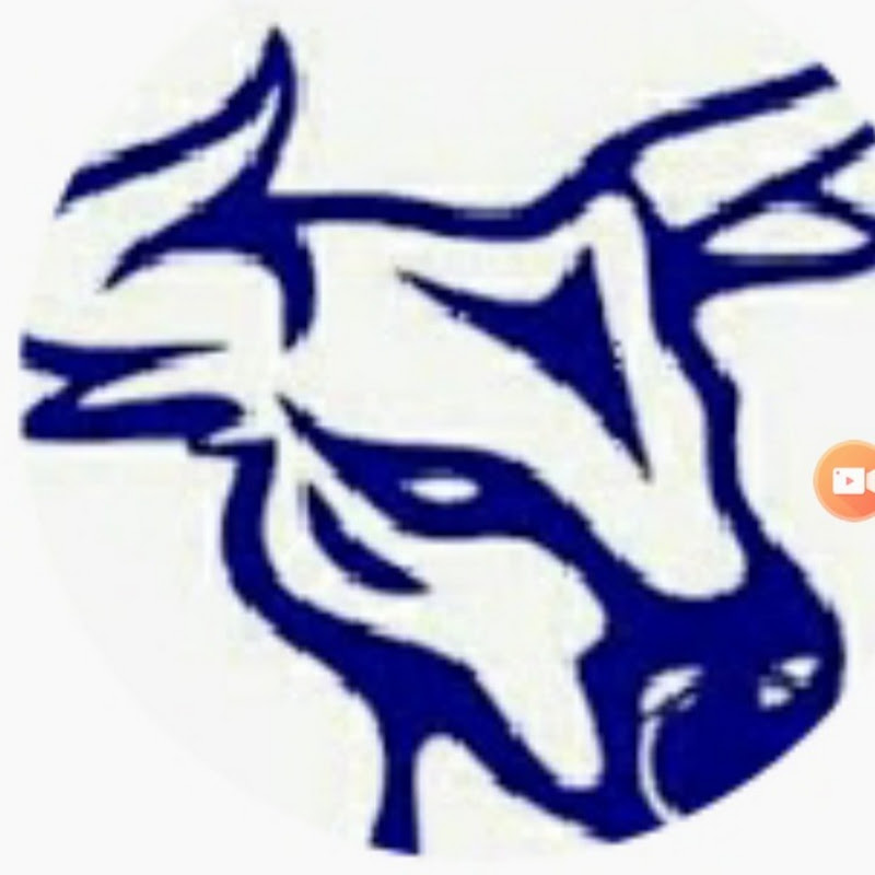 Channel Avatar