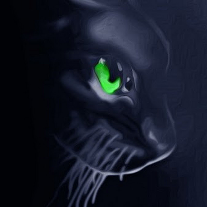 TheCatOfWar
