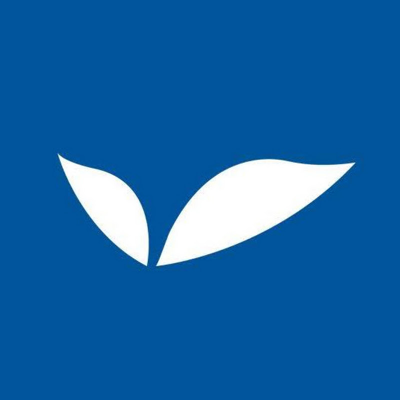 Seed Investments