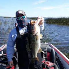 Dustin Hollen