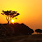 @mbrassy1 Avatar