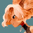 TUIK0xclaUo-channel-avatar-jhoca