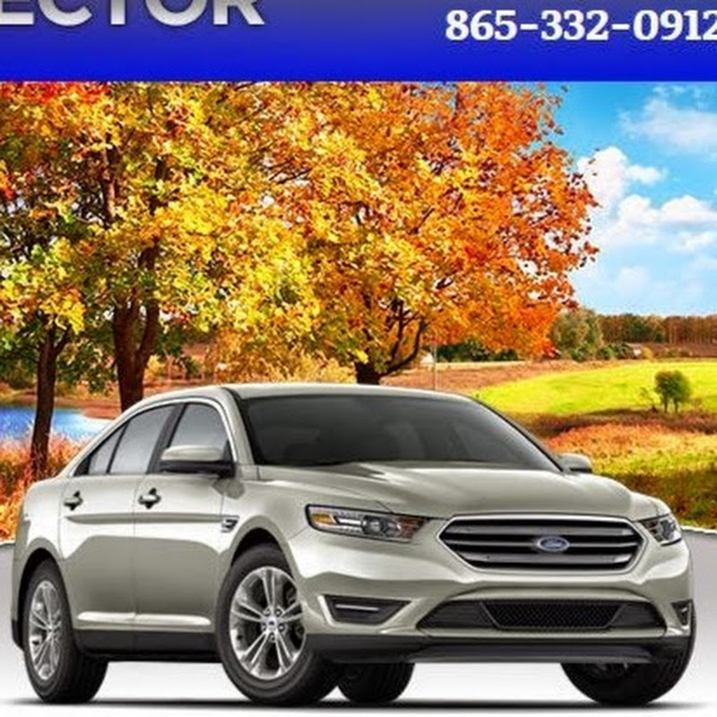 AutoDirector