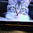 p8YsxsP4QLo-channel-avatar-Max Endres