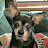 @AroundIndiana's avatar
