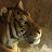 @johnlegrande1042's avatar