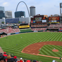 Cardinals
