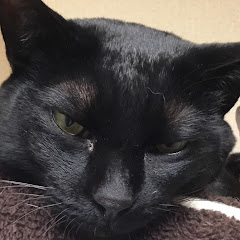 みや
