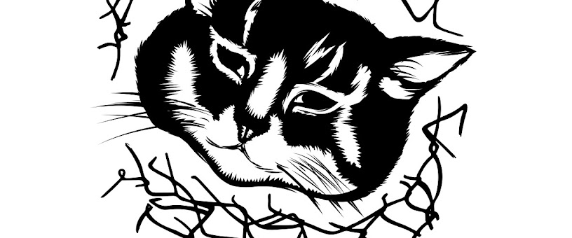 Artist Thumbnail