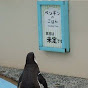 @だいぽん25