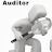 @auditocanarsie7355