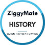 ZiggyMate India :- HISTORY logo