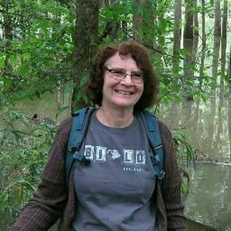 Laurie Rimon