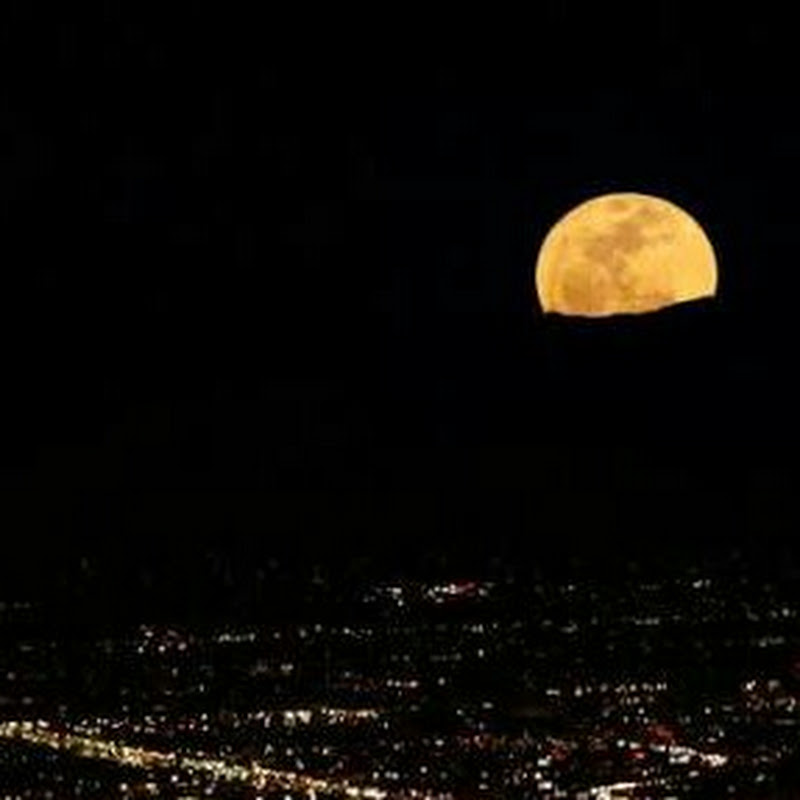 Gece Gölgesi YTB