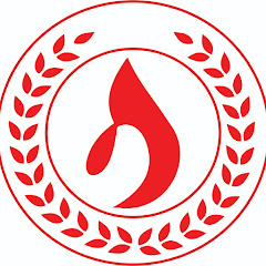 Sajani Knittwear channel logo