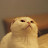 @남강술래