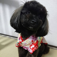 カジュオミCH