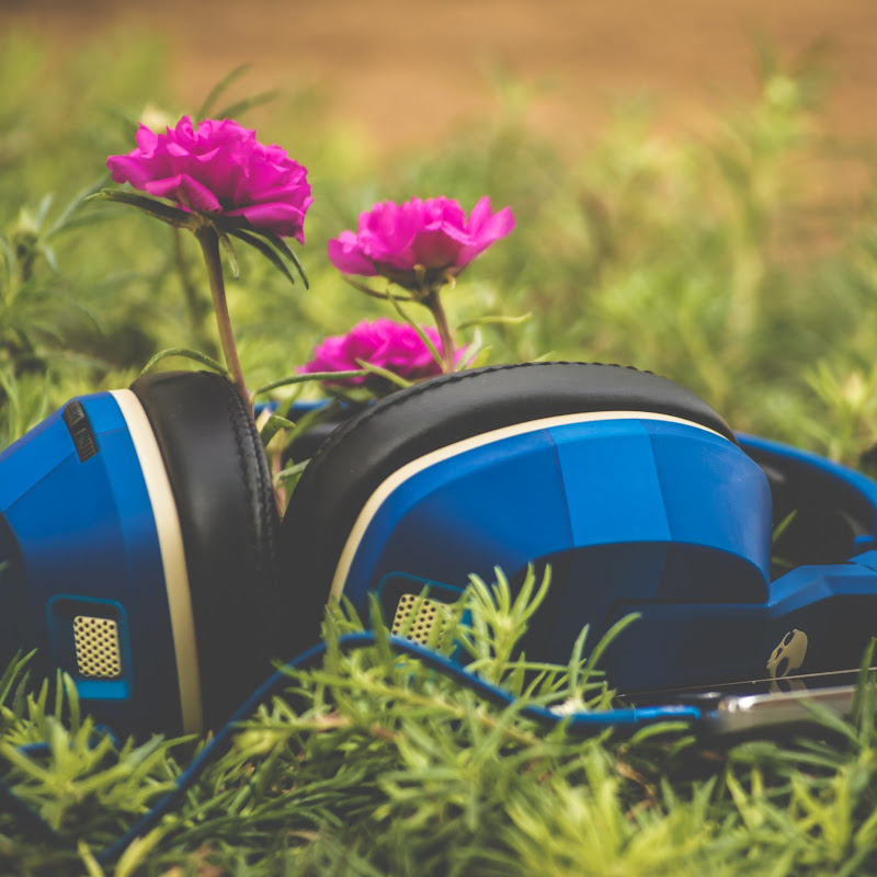 SoundsForSoul icon