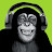 Funky Monkey Audio Lectures