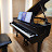 @bachbaroque4154