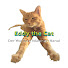 1xcGe5XbxpA-channel-avatar-Eddy the Cat
